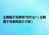 企鹅属于鸟类吗?为什么?（企鹅属于鸟类吗简介介绍）
