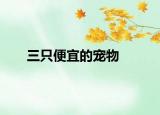 三只便宜的宠物