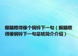 眼睛瞪得像个铜铃下一句（眼睛瞪得像铜铃下一句是啥简介介绍）