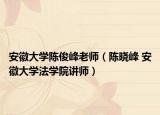 安徽大学陈俊峰老师（陈晓峰 安徽大学法学院讲师）