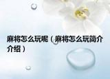 麻将怎么玩呢（麻将怎么玩简介介绍）