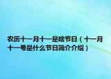 农历十一月十一是啥节日（十一月十一号是什么节日简介介绍）