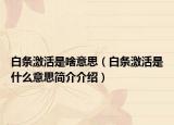 白条激活是啥意思（白条激活是什么意思简介介绍）