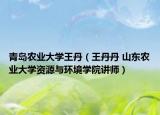 青岛农业大学王丹（王丹丹 山东农业大学资源与环境学院讲师）