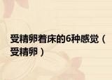 受精卵着床的6种感觉（受精卵）