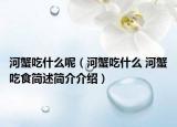 河蟹吃什么呢（河蟹吃什么 河蟹吃食简述简介介绍）
