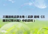 三国游戏孟获主角（孟获 游戏《三国志幻想大陆》中的武将）