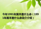 今年1991年属羊是什么命（1991年属羊是什么命简介介绍）