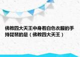 佛教四大天王中身着白色衣服的手持琵琶的是（佛教四大天王）