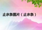 止水条图片（止水条）