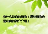 有什么吃肉的植物（哪些植物也是吃肉的简介介绍）