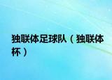 独联体足球队（独联体杯）