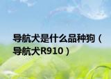 导航犬是什么品种狗（导航犬R910）