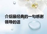 介绍最经典的一句感谢领导的话