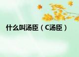 什么叫汤臣（C汤臣）