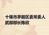 十堰市茅箭区委常委人武部部长陈欣