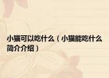 小猫可以吃什么（小猫能吃什么简介介绍）
