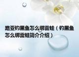 路亚钓黑鱼怎么绑雷蛙（钓黑鱼怎么绑雷蛙简介介绍）