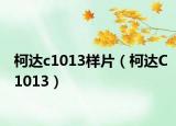 柯达c1013样片（柯达C1013）