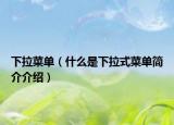 下拉菜单（什么是下拉式菜单简介介绍）