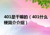 401是干嘛的（401什么梗简介介绍）