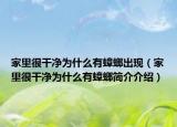 家里很干净为什么有蟑螂出现（家里很干净为什么有蟑螂简介介绍）