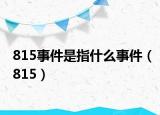 815事件是指什么事件（815）