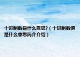 十进制数是什么意思?（十进制数值是什么意思简介介绍）