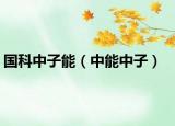 国科中子能（中能中子）