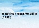 files的中文（Files是什么文件简介介绍）