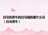 白马怕青牛的白马指的是什么马（白马青牛）
