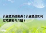 孔雀鱼繁殖要点（孔雀鱼是如何繁殖的简介介绍）