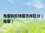 角鳖和珍珠鳖怎样区分（角鳖）