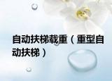 自动扶梯载重（重型自动扶梯）