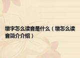 墩字怎么读音是什么（墩怎么读音简介介绍）