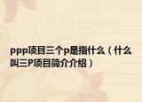 ppp项目三个p是指什么（什么叫三P项目简介介绍）