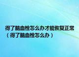 得了脑血栓怎么办才能恢复正常（得了脑血栓怎么办）