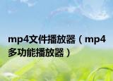 mp4文件播放器（mp4 多功能播放器）