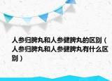 人参归脾丸和人参健脾丸的区别（人参归脾丸和人参健脾丸有什么区别）