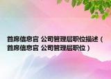 首席信息官 公司管理层职位描述（首席信息官 公司管理层职位）