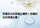 牙痛怎么办快速止痛药（牙痛怎么办快速止痛）