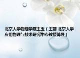 北京大学物理学院王玉（王前 北京大学应用物理与技术研究中心教授博导）