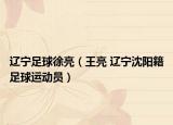 辽宁足球徐亮（王亮 辽宁沈阳籍足球运动员）