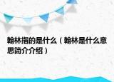 翰林指的是什么（翰林是什么意思简介介绍）