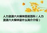 人力资源六大模块百度百科（人力资源六大模块是什么简介介绍）