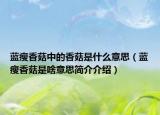 蓝瘦香菇中的香菇是什么意思（蓝瘦香菇是啥意思简介介绍）