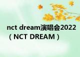nct dream演唱会2022（NCT DREAM）