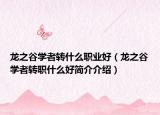 龙之谷学者转什么职业好（龙之谷学者转职什么好简介介绍）