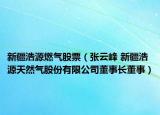 新疆浩源燃气股票（张云峰 新疆浩源天然气股份有限公司董事长董事）