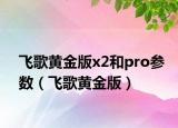 飞歌黄金版x2和pro参数（飞歌黄金版）